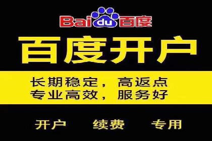百度推广竞价实战：案例分析与优化策略