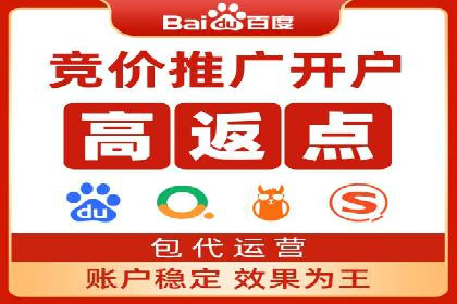 某电商平台的SEM推广实践与效果展示